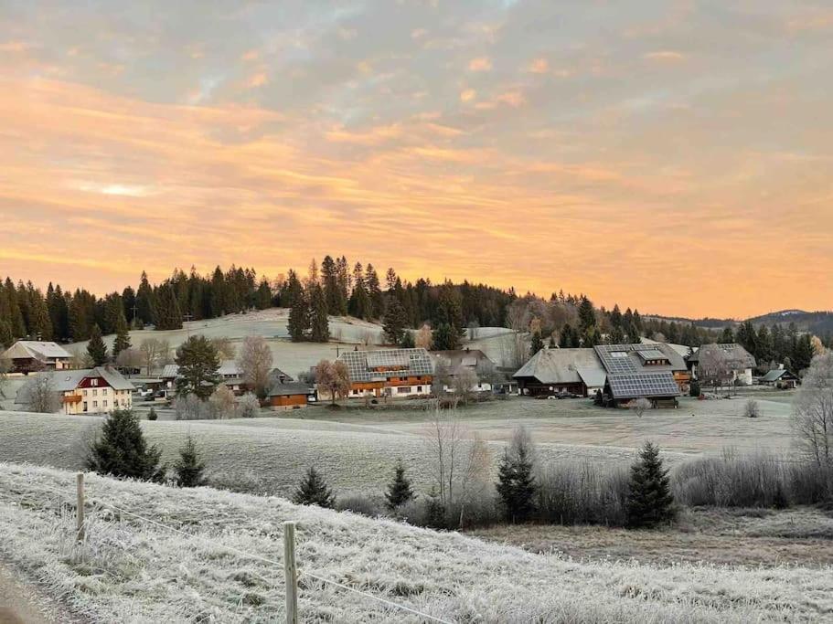 Helle Gemuetliche Ferienwohnung In Schwarzwaldhof Ibach Exterior foto